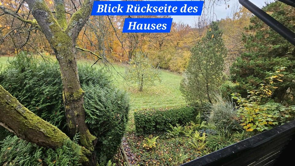 Einfamilienhaus Windhagen - 6 Zimmer, 245 m&sup2;, 459.000&euro; | Angebot:23715975