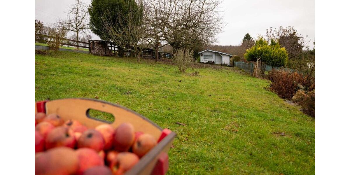 Einfamilienhaus Hilgert - 299.000&euro; | Angebot:25144744