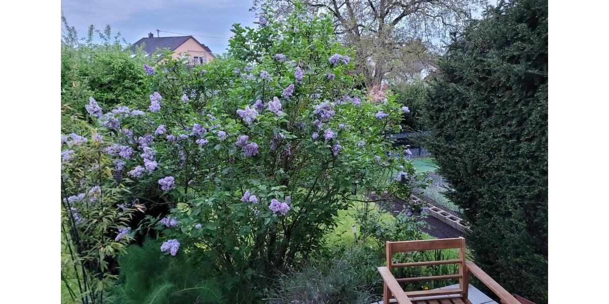 Etagenwohnung Neuwied Block - 3 Zimmer, 125 m&sup2;, 316.000&euro; | Angebot:24654466