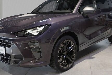 Cupra Terramar 14.999 km 42.850 &euro; Neuwied 56564